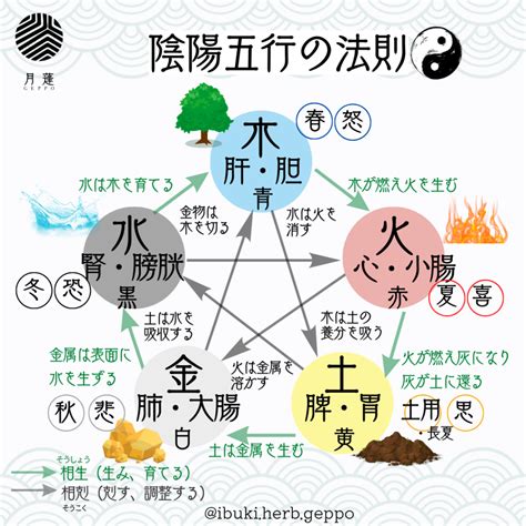 陽金 五行|五行思想